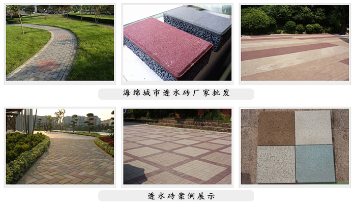 動起來，共建“海綿城市”！